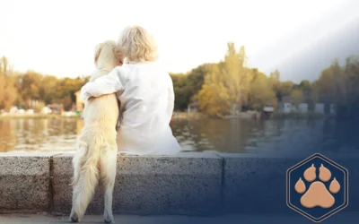 Bindung zum Hund aufbauen und stärken: Tipps für eine gute Beziehung