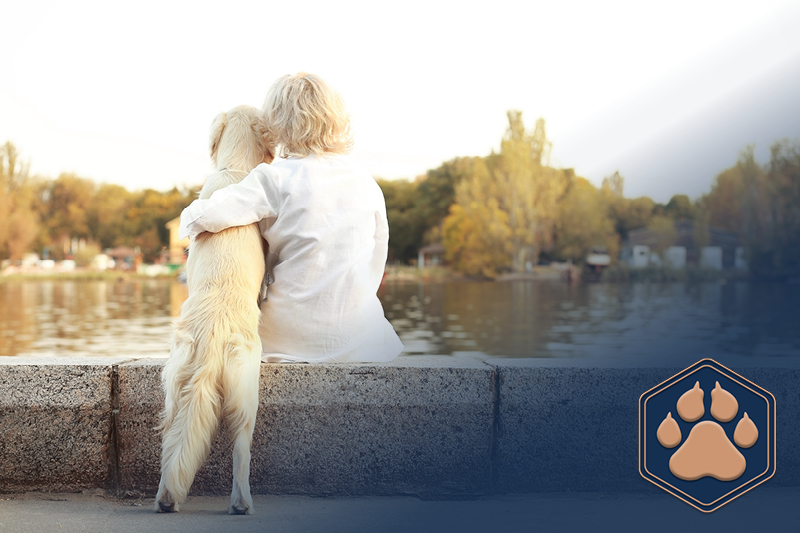 Start 3 Bindung zum Hund aufbauen und stärken: Tipps für eine gute Beziehung